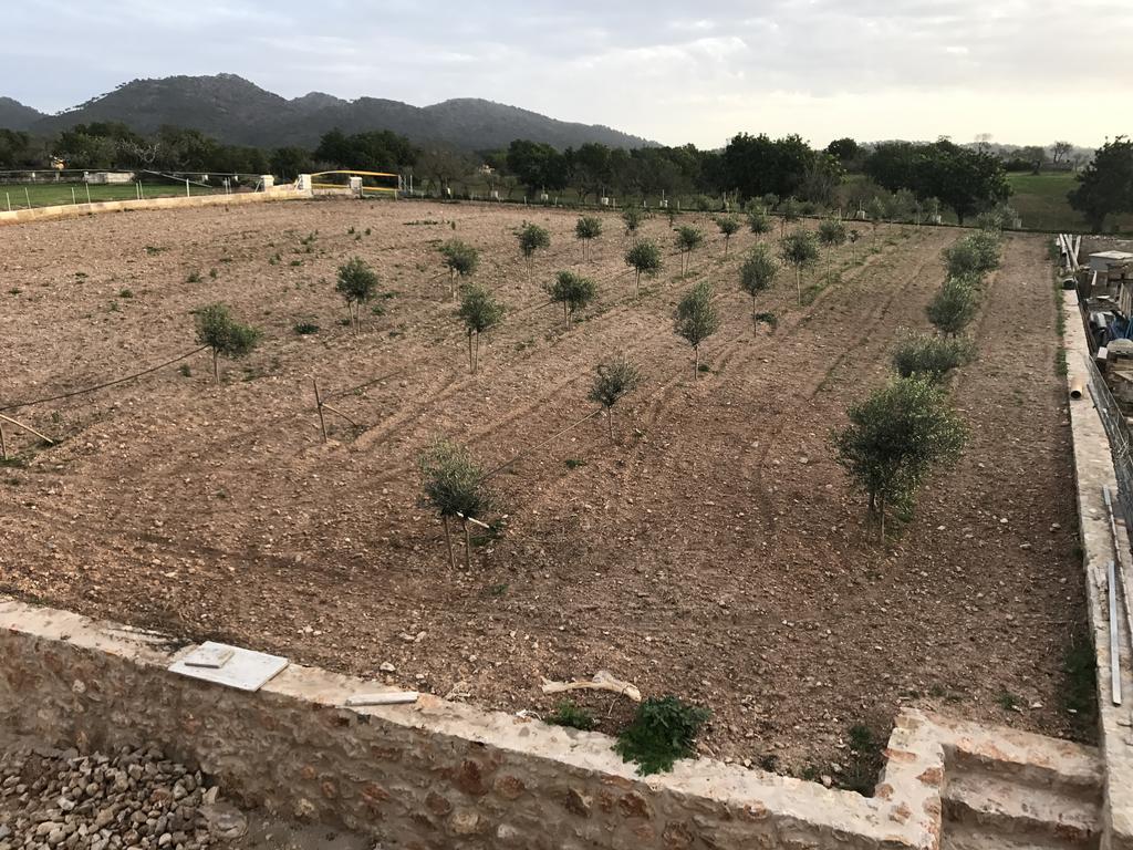 Ca Na Nina Bauernhof Sant Llorenc Des Cardassar